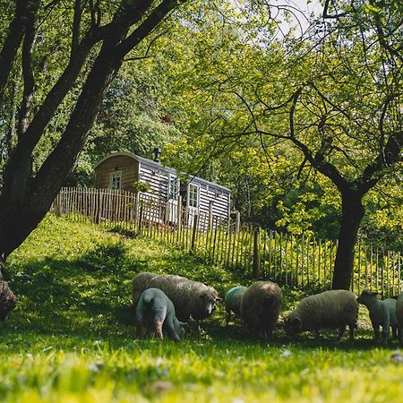Somerset Shepherds Huts Winsham Exteriör bild